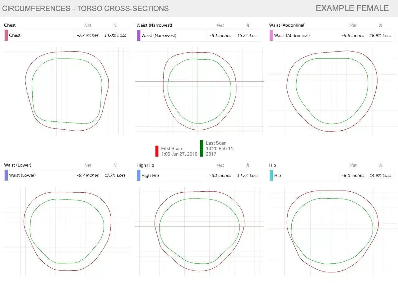 Graphical representation of torso cross-sections showing measurements and percentage losses for various body areas in an example female.